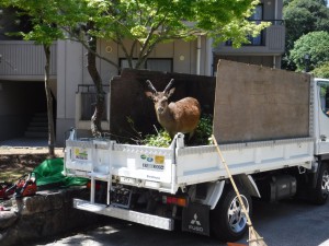 カメラ目線-2